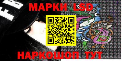 шишки Владимир