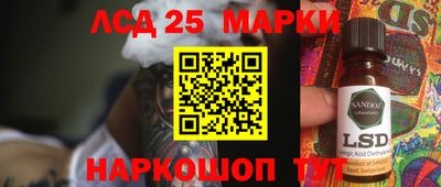 шишки Владимир