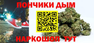 шишки Владимир