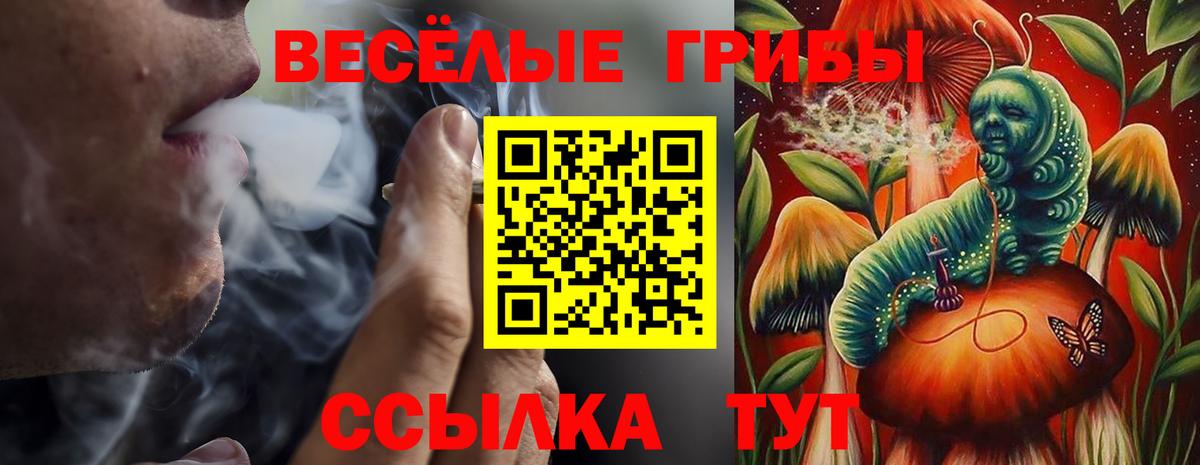 Реутов  Псилоцибиновые грибы мицелий  Галлюциногенные грибы MAGIC MUSHROOMS  Вход с VPN 
