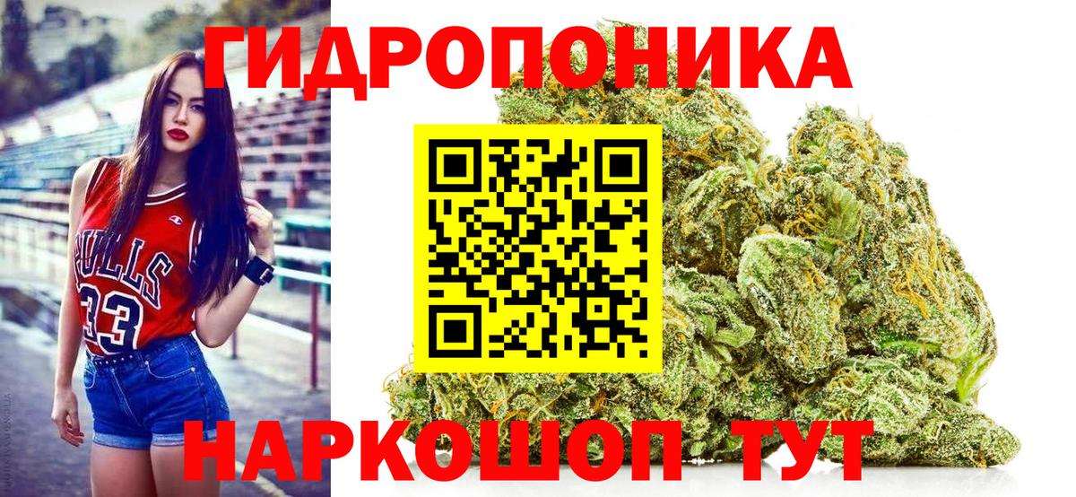 Бошки Шишки семена  Каннабис гибрид  Реутов  Вход с VPN  Канабис планчик  Каннабис семена 